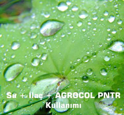 Increasing Water Contact on Plant Leaf Surfaces with Agrocol PNTR: A New Dimension in the Effectiveness of Pesticides and Fertilizers