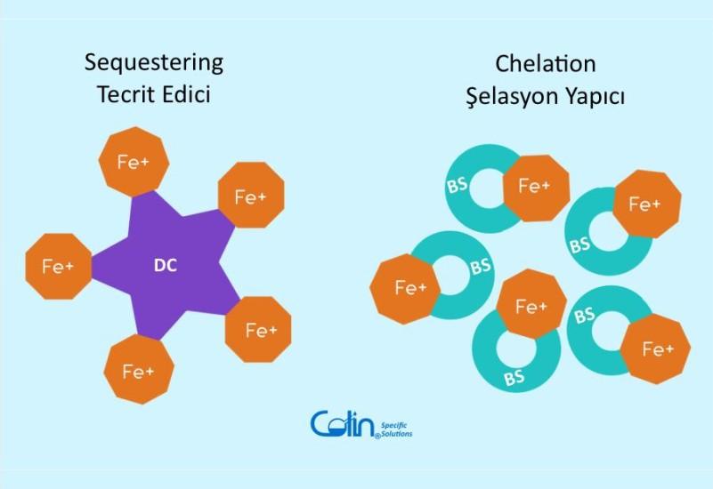 Embarking on Excellence in Textile Production: Powerful and Secure Dyeing Solutions with DECOLIN DC and DECOWET BS