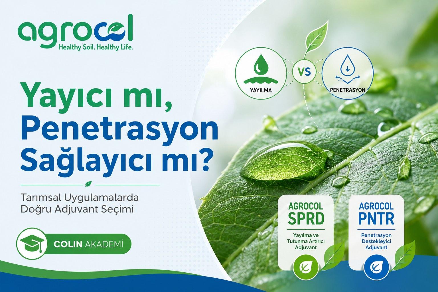 Yayıcı mı, Penetrasyon Sağlayıcı mı? Tarımsal Uygulamalarda Doğru Adjuvant Seçimi