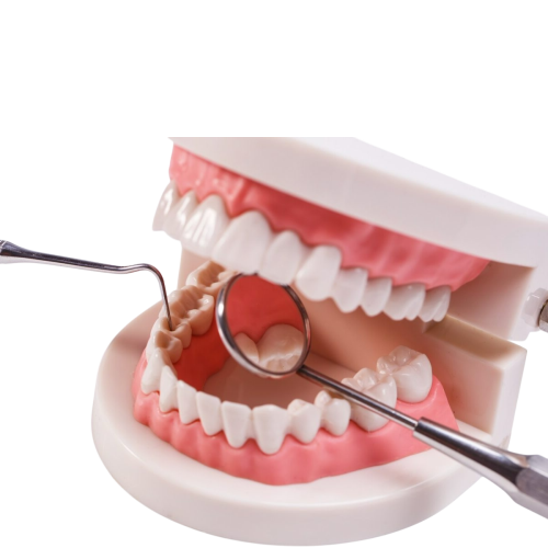 Diş Hekimliği ve Dental Ürün Üreticileri için Klinik Test Çözümleri