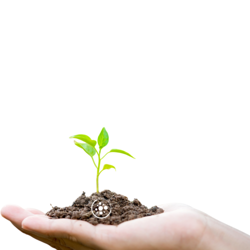 pH Regulator and Chelator Products in Agriculture