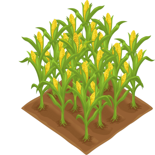 Solutions That Increase the Efficiency of Agricultural Chemicals